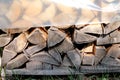 Cut wood, firewood for the winter. Cut logs fire wood and ready pieces of wood for heating wood.