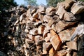 Cut wood, firewood for the winter. Cut logs fire wood and ready pieces of wood for heating wood.