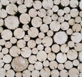 Cut wood logs background Royalty Free Stock Photo