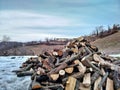 Cut wood logs pile on the snow