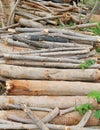 Cut wood stump log Royalty Free Stock Photo