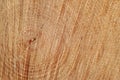 Cut wood texture background Royalty Free Stock Photo