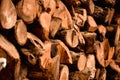 Cut wood trunks of trees stacked on one by one which is for sell as firewood in godown. Used selective focus Royalty Free Stock Photo