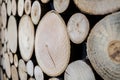 Cut wooden log, view from side angle. Unique circles from old trees. Creative modern interior design idea for home wall decor. Royalty Free Stock Photo