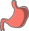 Cutaway stomach illustration