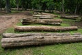 The cutdown tree trunks are arranged in the Indian rainforest. The wooden logs are for sale by the forest department Royalty Free Stock Photo