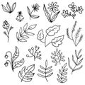 Floral set of black outline hand drawn elements, flowers, tree branch, bush, plant, tropical leaves Royalty Free Stock Photo