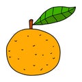 Cartoon hand drawn doodle orange with leaf. Citrus doodle icon