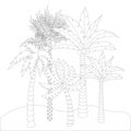 Cute cartoon palm oasis for coloring book for adults.