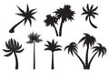 Cute cartoon palm set silhouettes isolated on white background. Royalty Free Stock Photo