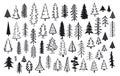 Cute abstract conifer pine fir christmas needle trees Royalty Free Stock Photo