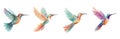 Cute abstract hummingbirds. Isolated hummingbird flying, cartoon pastel colors exotic birds with wings and plumage