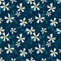 Cute abstract seamless pattern with tiny white flowers on the dark background. Summer floral vector illustration.