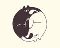 Yin yang cats abstract isolated vector illustration