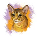 Cute Abyssinian cat hand drawn vector illustration