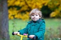 Cute active preschool boy driving on his bike in autumn forest Royalty Free Stock Photo