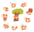 Cute active squirrel characters set, fluffy animal holding acorn, pink heart, berry plant Royalty Free Stock Photo