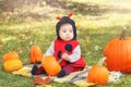 Cute adorable Asian Chinese baby girl in ladybug costume sitting in autumn fall park outdoor. Funny infant kid in costume on a