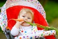 Cute adorable baby girl holding and eating fresh carrot. Beatuiful child having healthy snack. Baby girl sitting in pram Royalty Free Stock Photo