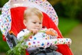 Cute adorable baby girl holding and eating fresh carrot. Beatuiful child having healthy snack. Baby girl sitting in pram Royalty Free Stock Photo