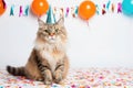 Cute adorable birthday cat with confetti, balloons and in party hat sitting on white background. Royalty Free Stock Photo