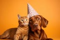 Cute adorable birthday red dog in party hat with kitten cat sitting on yellow orange background Royalty Free Stock Photo