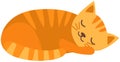 Ginger kitten lying with closed eyes. Animal living at home, cute pet, house cat sleeping Royalty Free Stock Photo