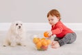 Cute adorable Caucasian baby boy eating citrus fruit. Finny child sitting on floor with pet dog and eating healthy organic snack. Royalty Free Stock Photo