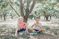 Cute adorable Caucasian children girl and boy picking eating berries on farm. Happy farmers friends gather seasonal cherry harvest