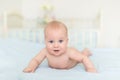 Cute adorable caucasian little 5 month old infant baby boy lying on tummy at nursery bed room having fun playing and smiling. Royalty Free Stock Photo