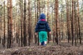 Cute adorable caucasian lonely toddler baby boy standing alone on hill during walk in fall coniferous pine woods at day Royalty Free Stock Photo