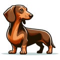 Cute adorable dachshund dog cartoon character vector illustration, funny pet animal dachshund puppy flat design mascot logo Royalty Free Stock Photo