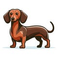Cute adorable dachshund dog cartoon character vector illustration, funny pet animal dachshund puppy flat design mascot logo Royalty Free Stock Photo