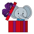 cute and adorable elephant in gift Royalty Free Stock Photo