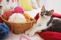 A cute adorable kitten playing with yarn Royalty Free Stock Photo