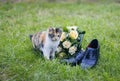 Wedding bouquet kitty shoes