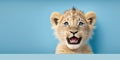 cute adorable lion cub smiling and isolated on blue background with copy space generative ai Royalty Free Stock Photo