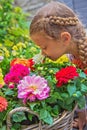 Cute adorable little girl sniffing dahlia flowers