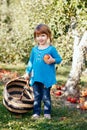 cute adorable little red-haired Caucasian girl child with blue eyes picking apples in garden on farm Royalty Free Stock Photo
