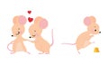 Cute adorable mice in different actions set. Couple of mouse in love cartoon vector illustration Royalty Free Stock Photo