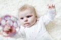 Cute adorable newborn baby playing with colorful ball toy on white background. New born child, little girl looking at Royalty Free Stock Photo