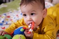 Cute adorable newborn baby playing with colorful rattle toy. baby with teether. six months old lovely baby portrait on Royalty Free Stock Photo