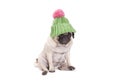 Cute adorable pug dog puppy, feeling ridiculous, sitting on floor wearing green knitted hat with pink pompon isolated