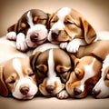 Cute adorable puppies asleep - ai generated image