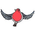 Cute Adorable Red Robin Bird. Isolated On a White Background Doodle Cartoon Hand Drawn Sketch Vector