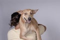 Cute and adorable scene of a man carrying around his spoiled mid-sized adult dog on his shoulders. Isolated on a white background