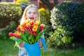 Cute adorable smiling toothless little girl with a huge bunch of tulips in the watering can. Picking flowers for gift bouquet in Royalty Free Stock Photo