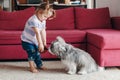 Cute adorable toddler baby girl feeding pet dog with treat food from plate. Relationship of kid and domestic animals. Best friends Royalty Free Stock Photo