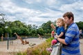 Cute adorable toddler girl and father watching and feeding giraffe in zoo. Happy baby child, daughter and dad, family