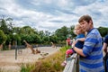 Cute adorable toddler girl and father watching and feeding giraffe in zoo. Happy baby child, daughter and dad, family